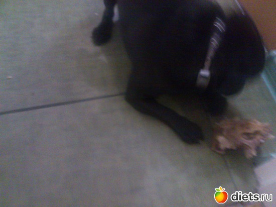 20 ����: ��� �������� �������.....