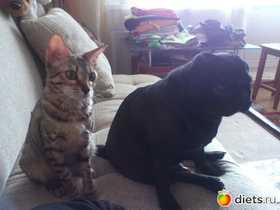 21 ����: ��� �������� �������.....