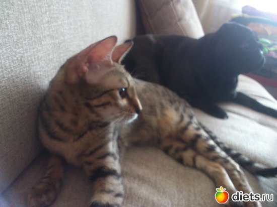 22 ����: ��� �������� �������.....