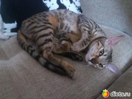 23 ����: ��� �������� �������.....