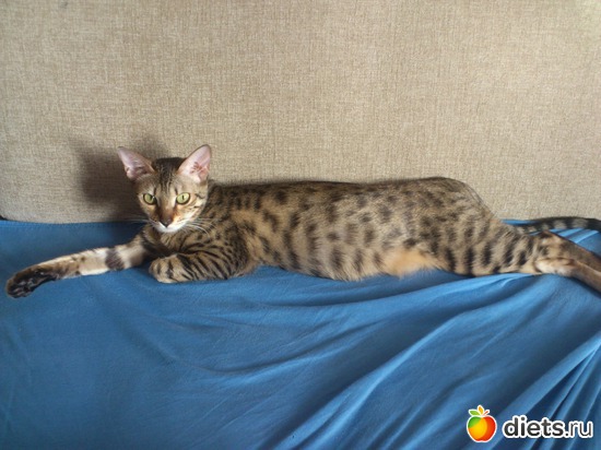 24 ����: ��� �������� �������.....