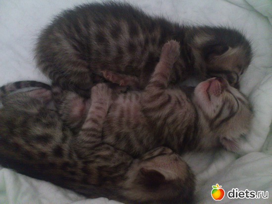 25 ����: ��� �������� �������.....