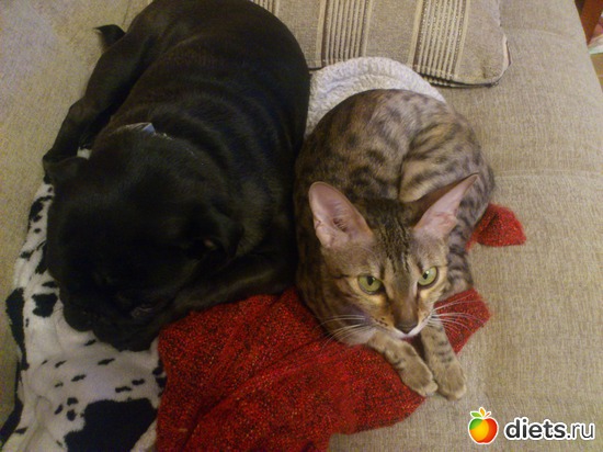 27 ����: ��� �������� �������.....