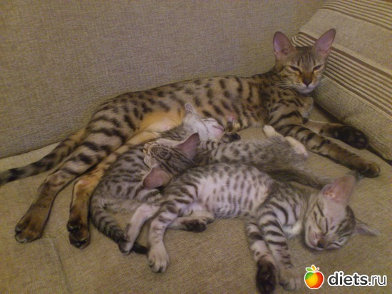 30 ����: ��� �������� �������.....