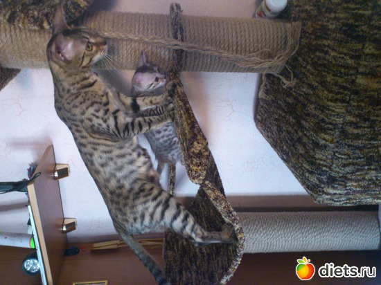 32 ����: ��� �������� �������.....