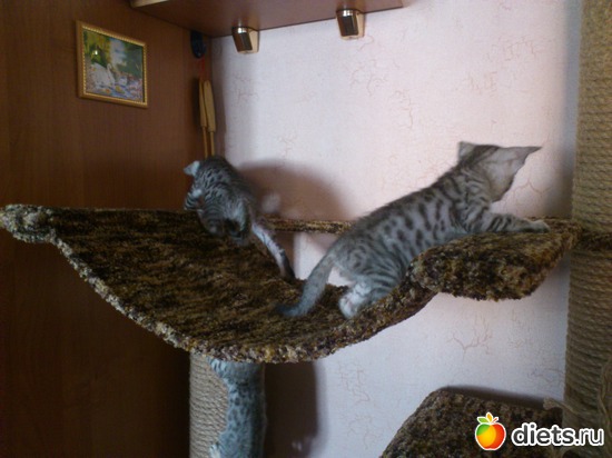 34 ����: ��� �������� �������.....