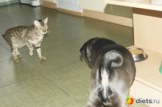 35 ����: ��� �������� �������.....