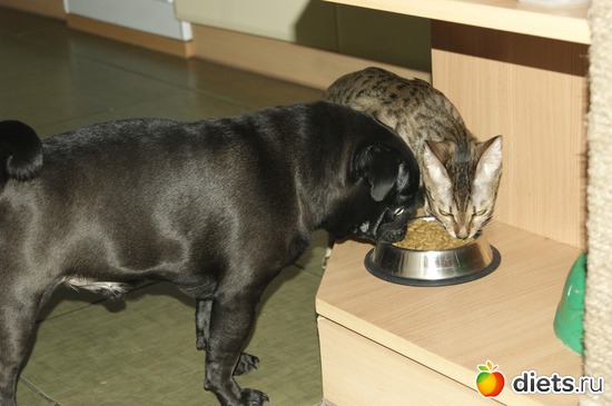 36 ����: ��� �������� �������.....