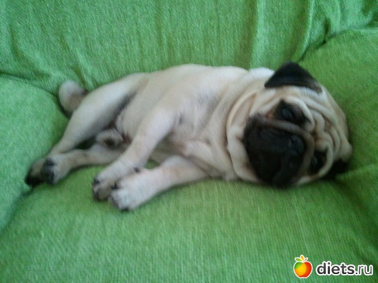 9 ����: ��� ������� �������