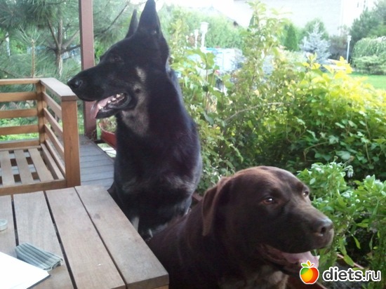 15 ����: ��� ������� �������