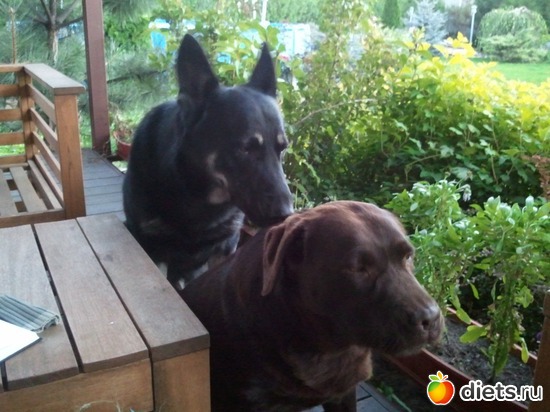 16 ����: ��� ������� �������