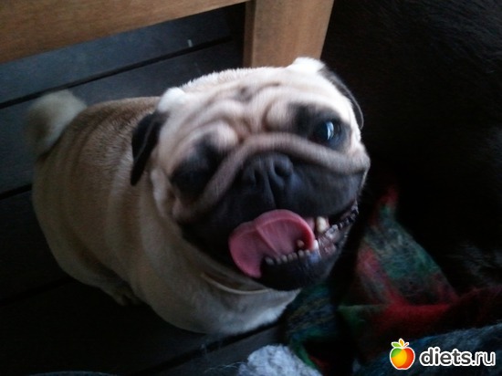 17 ����: ��� ������� �������