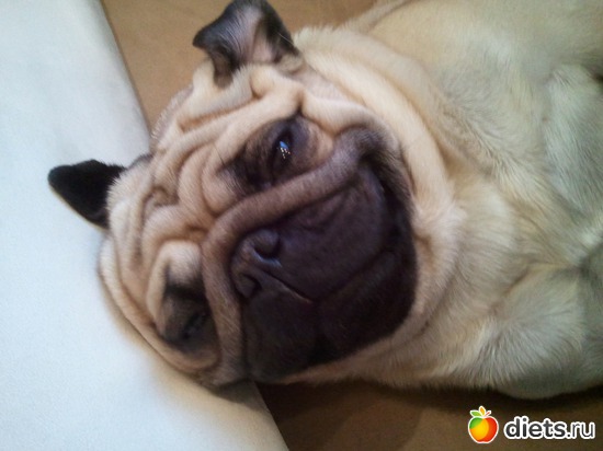 18 ����: ��� ������� �������