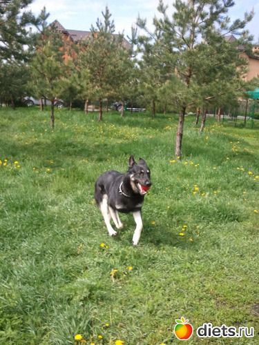 1 ����: ��� ������� �������