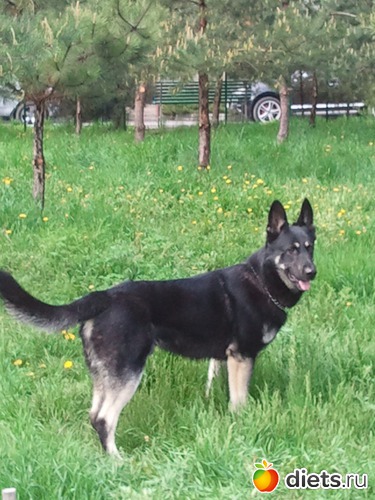 2 ����: ��� ������� �������