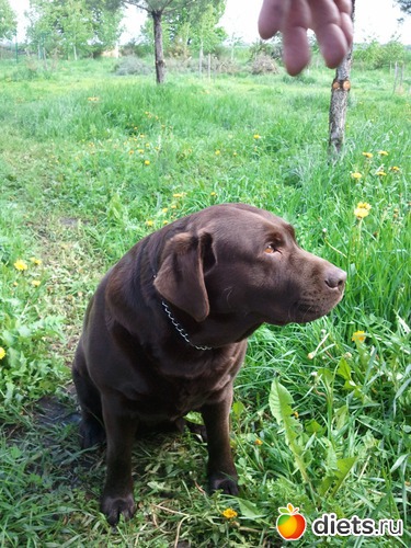 3 ����: ��� ������� �������