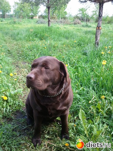 4 ����: ��� ������� �������