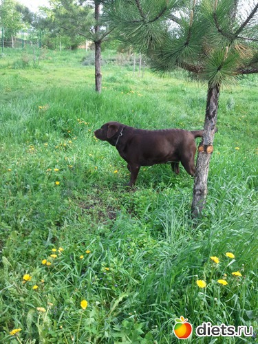 5 ����: ��� ������� �������