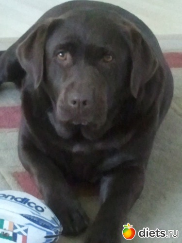 6 ����: ��� ������� �������