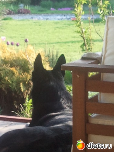 7 ����: ��� ������� �������