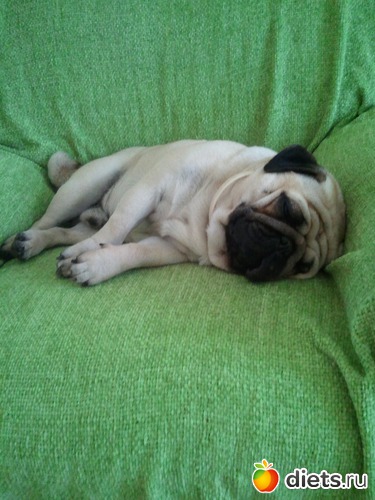 8 ����: ��� ������� �������