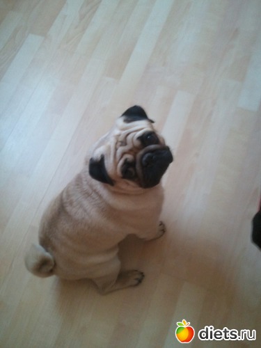 10 ����: ��� ������� �������