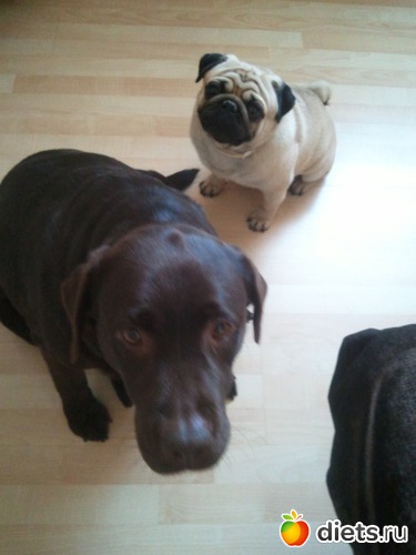 11 ����: ��� ������� �������