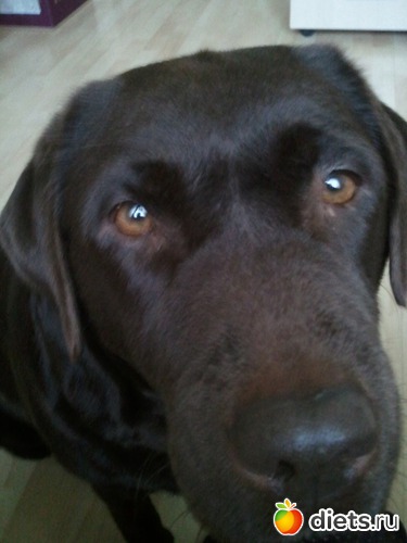 12 ����: ��� ������� �������