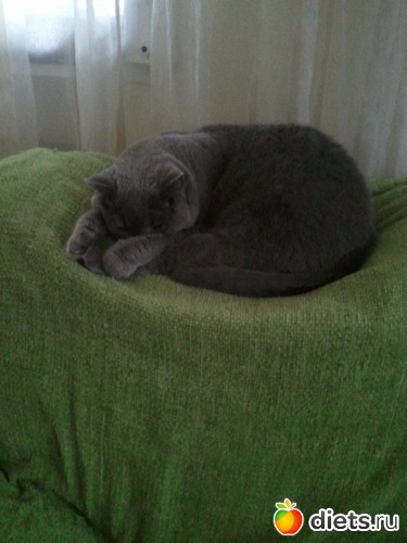 13 ����: ��� ������� �������