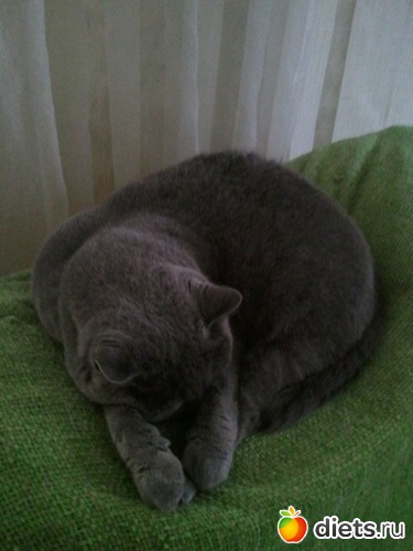 14 ����: ��� ������� �������