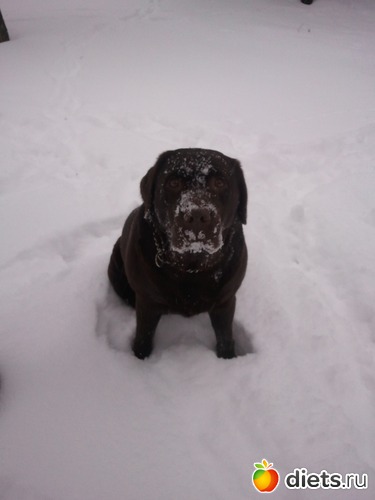 19 ����: ��� ������� �������