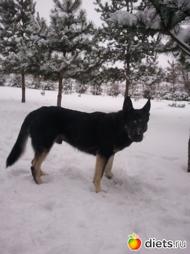 20 ����: ��� ������� �������