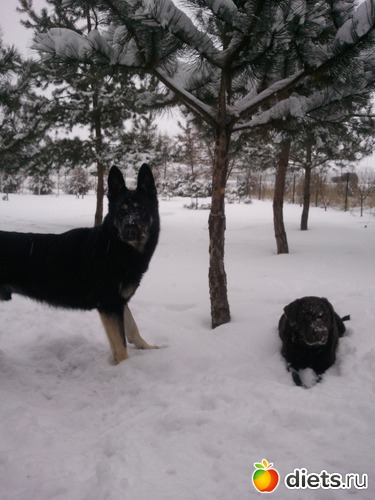 21 ����: ��� ������� �������