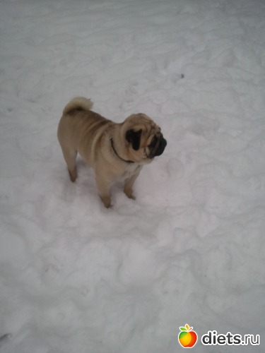 22 ����: ��� ������� �������