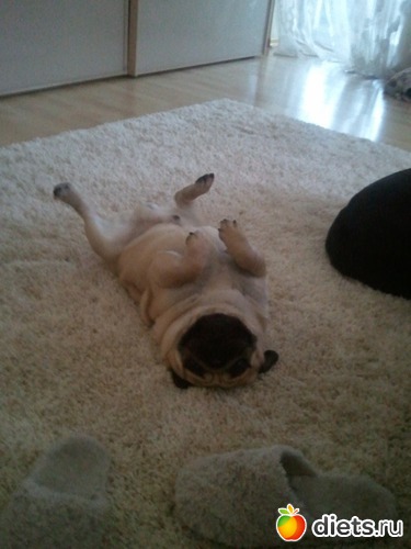 23 ����: ��� ������� �������