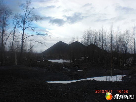 �����. ������, ������: �������� ����.