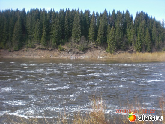 ����, ������: �������� ����.