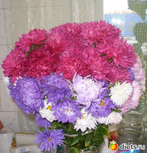 3 фото: Астра энд гладиолус