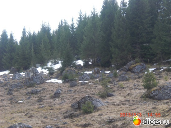 29 ����: �������� ����.