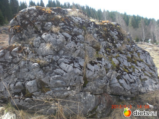 30 ����: �������� ����.