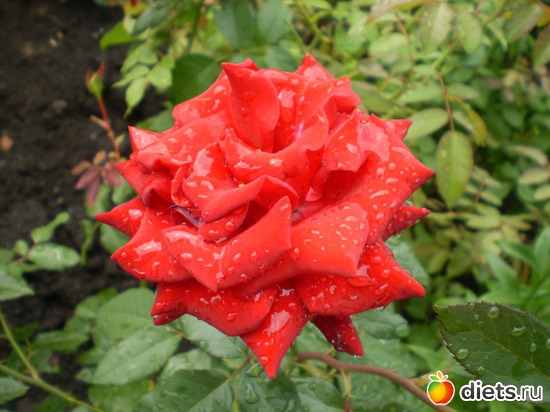 3 ����: �� ����������