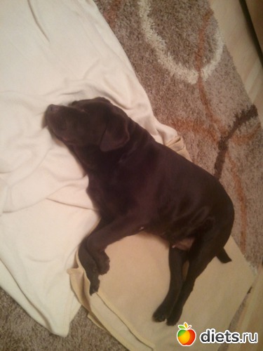 24 ����: ��� ������� �������