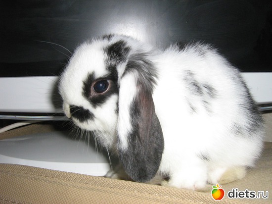 2 ����: �����