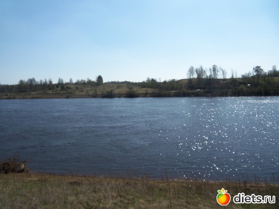 1 фото: 05.05.2013. весенный пикник