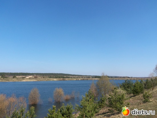 4 фото: 05.05.2013. весенный пикник