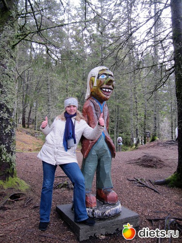 ��������� ������������ �������, ������: ����������� �� ��������