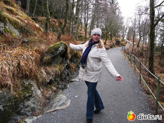 ������, ������: ����������� �� ��������