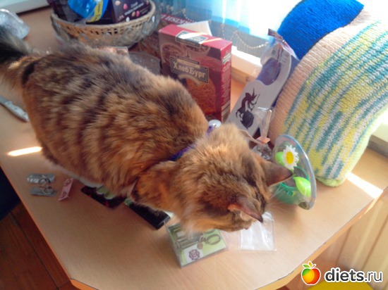 10 ����: ���������