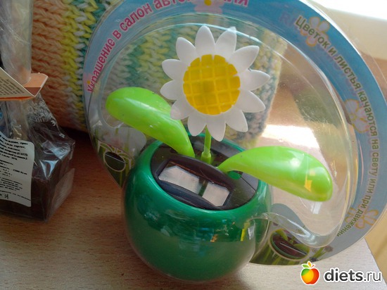 11 ����: ���������