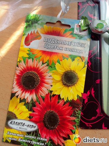 14 ����: ���������